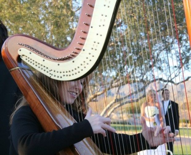 Harp at Wedding