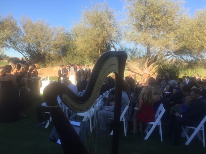 Harpist Scottsdale 2015-11-20 16.04.56