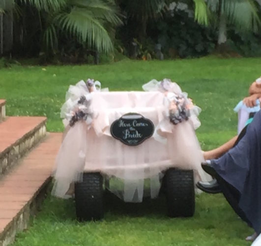 Wedding Baby Wagon